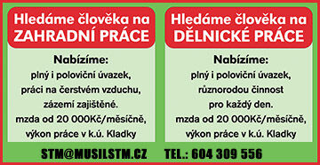STM Musil