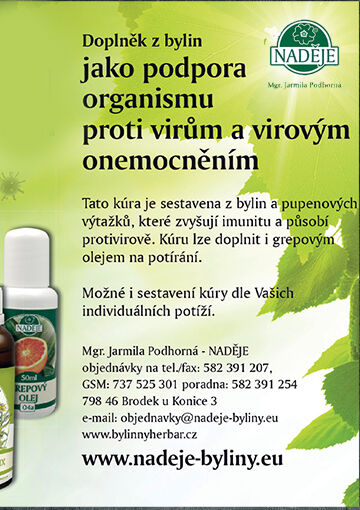 Podhorná
