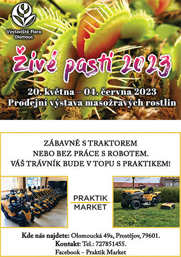 R4_flora_praktik