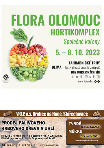 Flora Olomouc