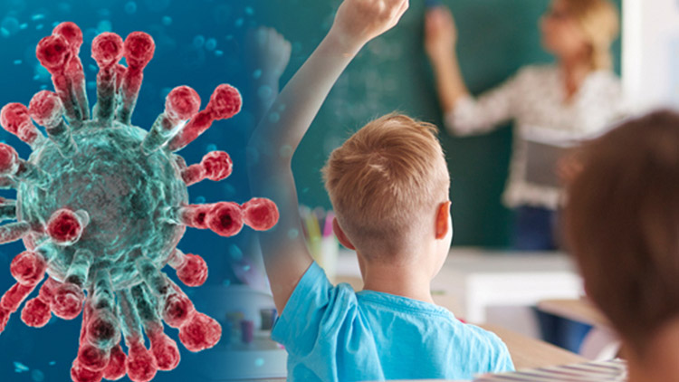 PES puštěný z vodítka. Nebo ho vláda obešla?