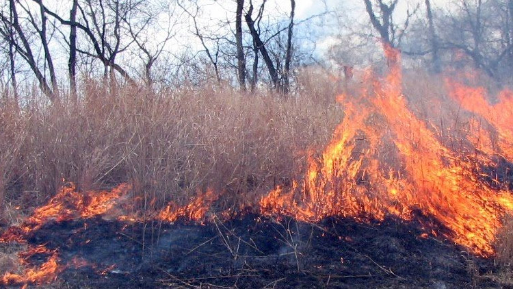 Vypálil trávu na zahradě