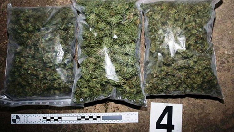 Půl kila marihuany!