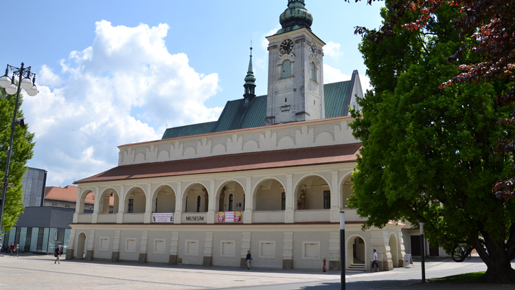 Zahájení výstavy v muzeu se odkládá, vernisáž nebude