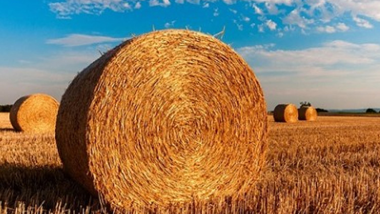 Bum a prázdniny jsou fuč