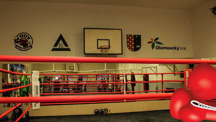 Rozjela se nová soutěž Real Boxing Cup,  prostějovští rohovníci se jí však neúčastní