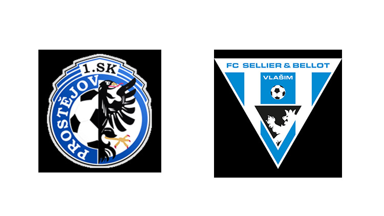 Do azylu v Holici dorazí Vlašim