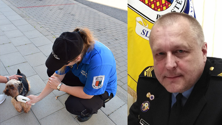 Ne každý majitel psa se chová ve městě zodpovědně