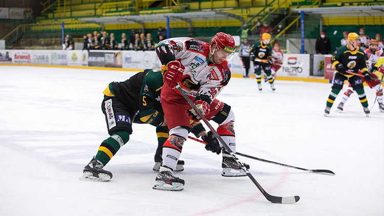 Jestřábi míří do extraligy!