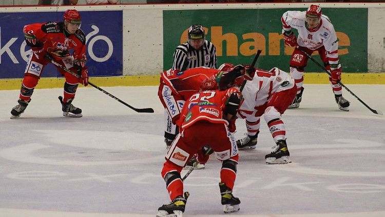 Zajíc zamířil zpět k Rytířům