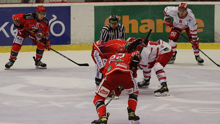 Posily Jestřábi? Stále velká neznámá