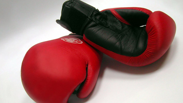 Boxerské naděje čeká příprava  a poté další turnajové vrcholy