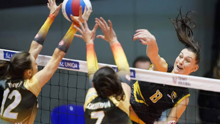 Šelmy vyhrály derby  a teď zabojují v Itálii