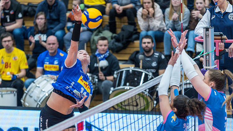 Bitva o evropskou slávu: holky, vyřaďte SUHL!