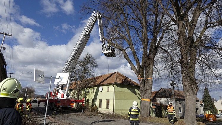 Stoleté lípy u pomníku ve Zdětíně se rozlomily