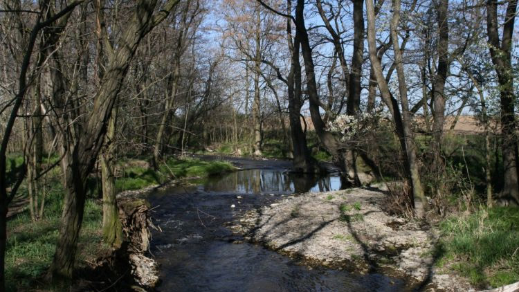 VELIKONOČNÍ STEZKA ZA POKLADEM