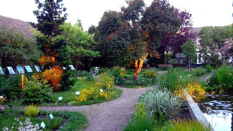 Do botanické zahrady už můžete!