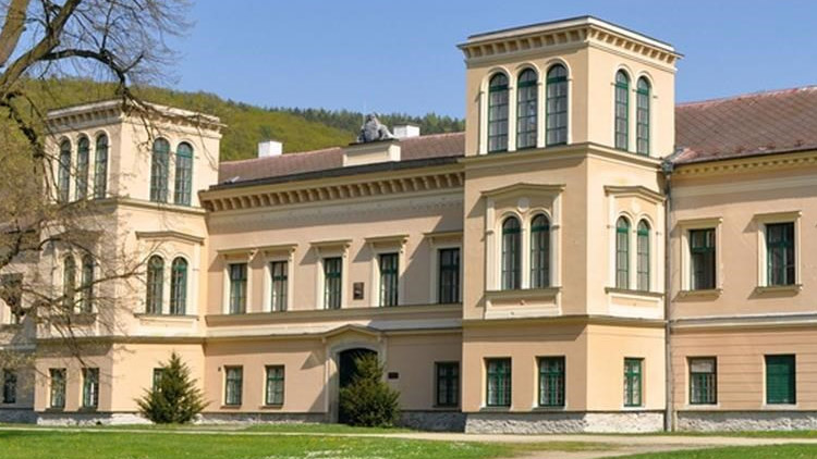 Na zámku se objeví zakletá princezna