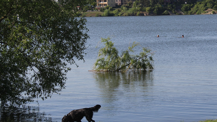Voda v přehradě se nezlepšila