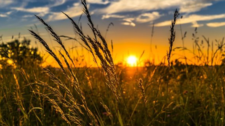 Léto budiž pochváleno... Anebo ne?