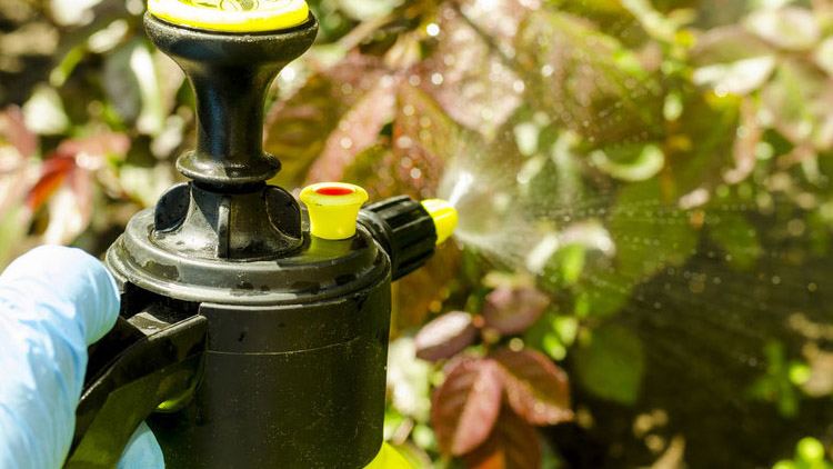 Roundup opět v akci