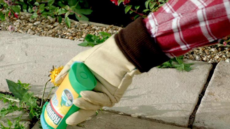 Napadli pracovníka FCC! Kvůli Roundupu...