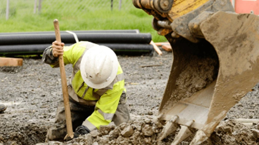 Kope se i v Holandské