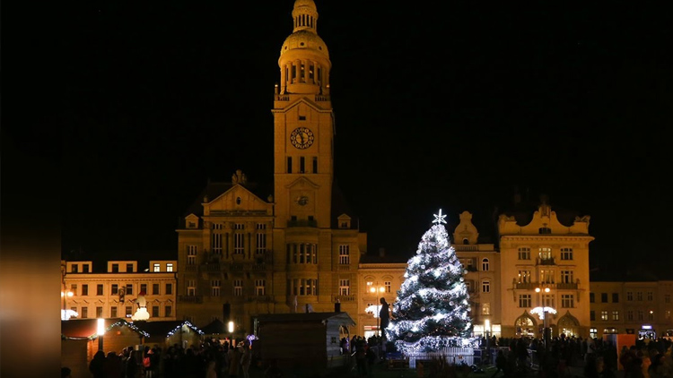 Město hledá vánoční strom