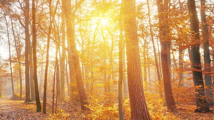 Letní dny, ale zimní noci