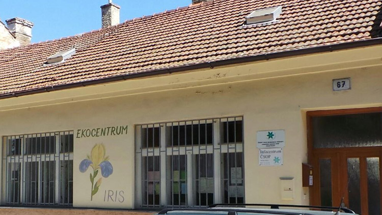 Pojďte sázet stromy na Kosíři!