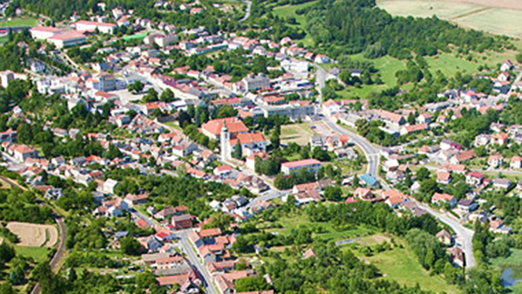 Po kácení pomohli skauti