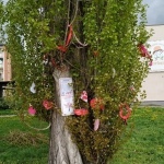 19 Cipisek02 19 Cipisek02