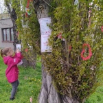 19 Cipisek03 19 Cipisek03