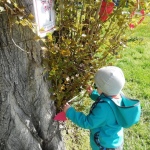 19 Cipisek04 19 Cipisek04