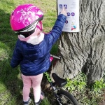 19 Cipisek06 19 Cipisek06