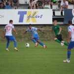 29 Pribram 01