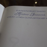 37 Siniakova10 37 Siniakova10