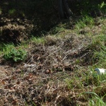 38 Vrbatky05 38 Vrbatky05