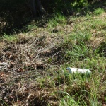 38 Vrbatky06 38 Vrbatky06