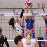 48 Volejbal 17