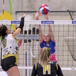 48 Volejbal 19