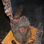 05 Starnov04 05 Starnov04