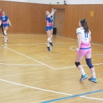 08 Volejbal Druhaliga Derby 22