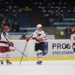 15 Hokej41