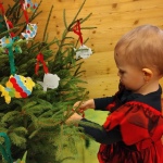 50 Cipisek07 50 Cipisek07