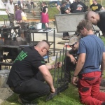 21 Kovar 06 21 Kovar 06