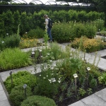 27 Brodek Podhorna19