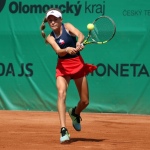 33 Wjtf Hra101 33 Wjtf Hra101