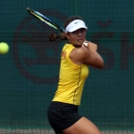 33 Wjtf Hra106 33 Wjtf Hra106