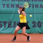 33 Wjtf Hra15 33 Wjtf Hra15